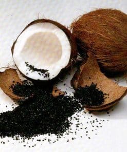 Than Hoạt Tính Gáo Dừa Lọc Nước – Than Sạch Trường Sang