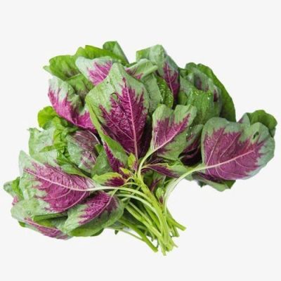 Công dụng của rau dền và cách chế biến nấu canh tôm rau dền